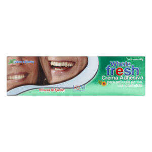CRE.ADHE.PROTESI WHO. MENTA 40 GR ICOM