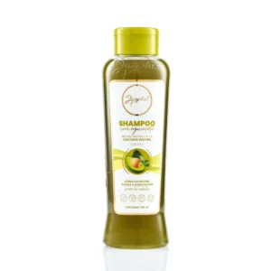 CHA ANYELUZ AGUACATE 500ML (SAV)